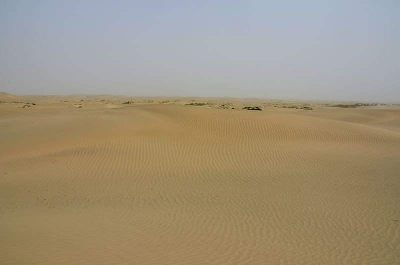 dsc_7808_neo_img.jpg