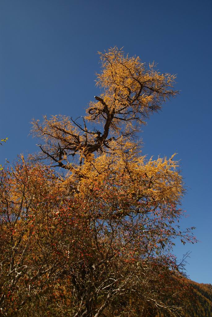 neo_img_dsc01555.jpg