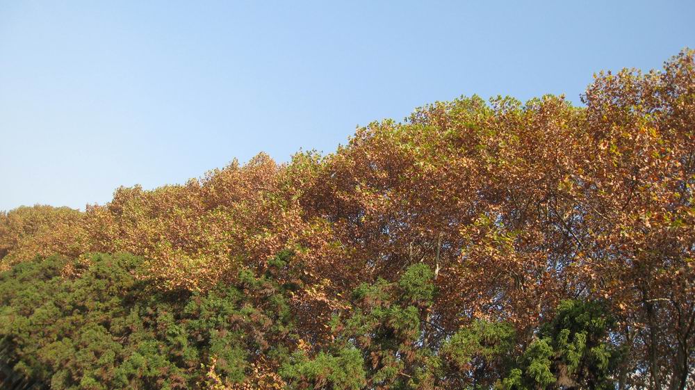 С  043.jpg