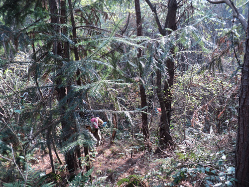 dsc06470_.jpg