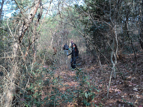 dsc06469_.jpg