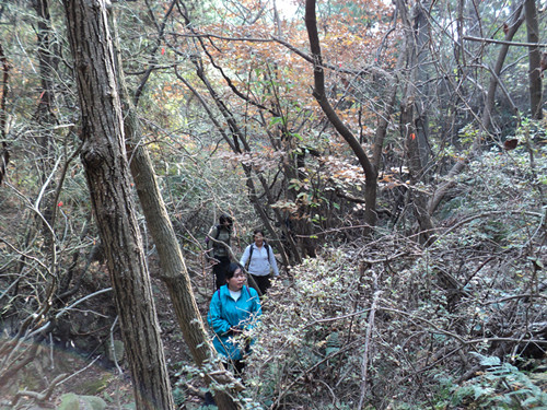 dsc06474_.jpg