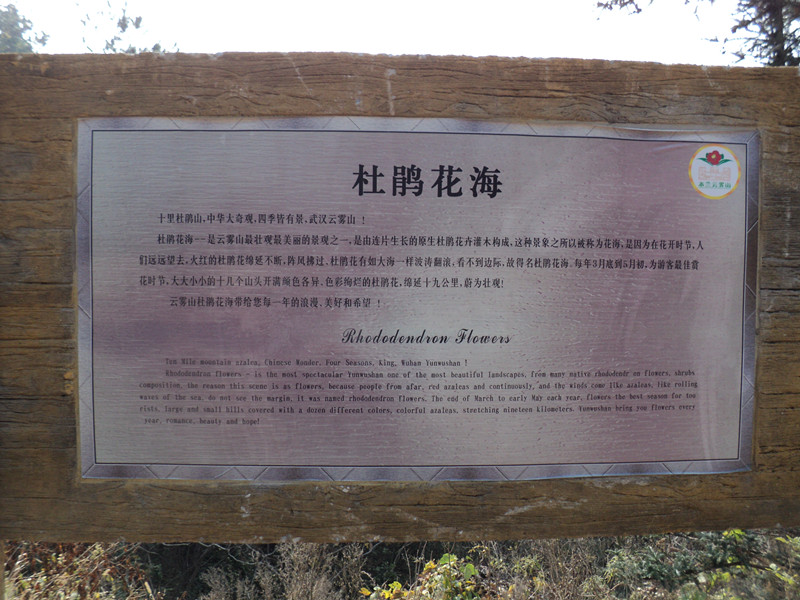 dsc06485_.jpg