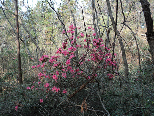 dsc06489_.jpg