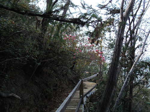 dsc06491_.jpg