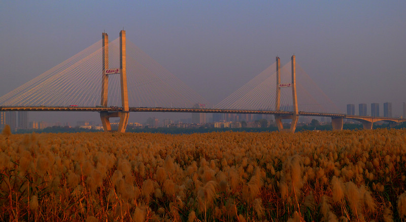 p1060674.jpg