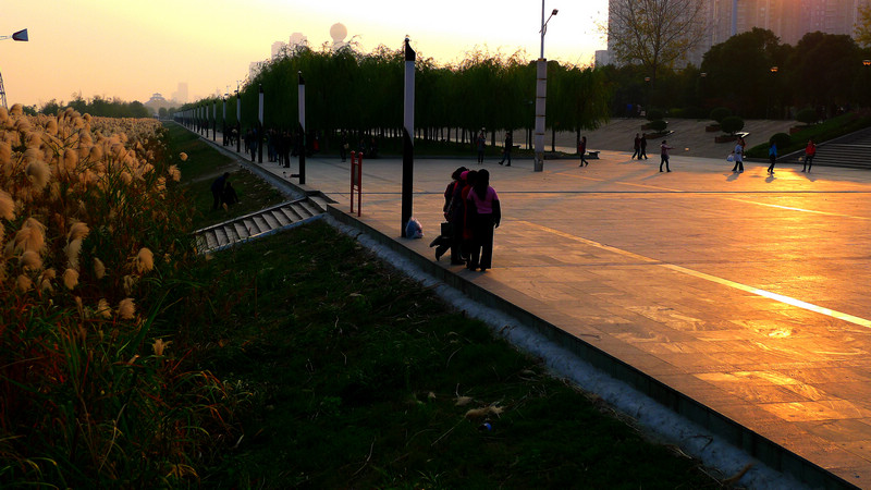p1060680.jpg
