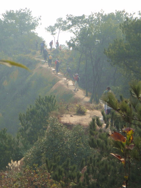 dsc09684.jpg
