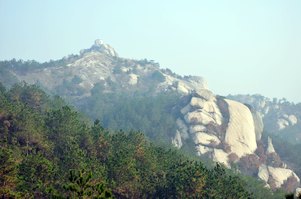 neo_img_dsc_0803.jpg