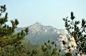 neo_img_dsc_0802.jpg
