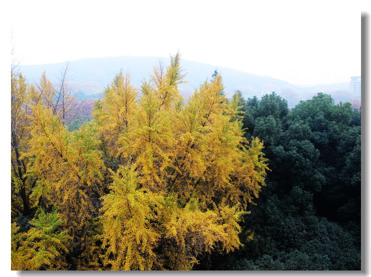 20111127 032.jpg