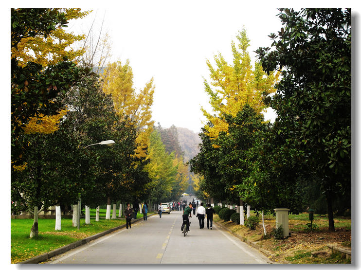 20111127 010.jpg