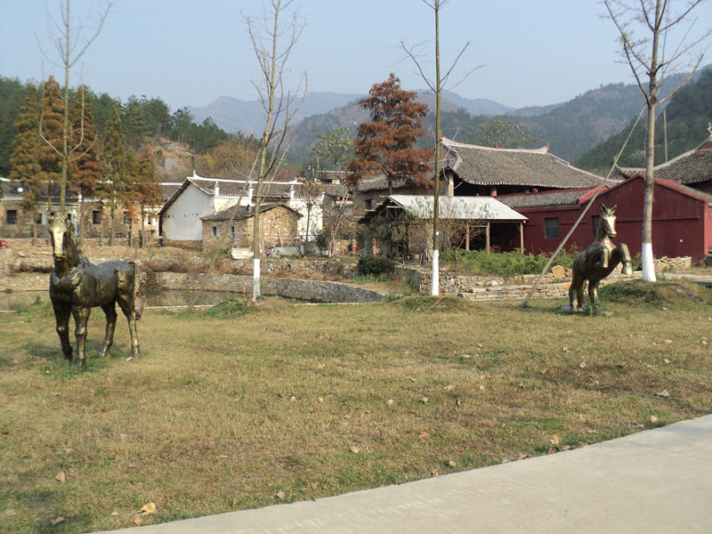 dsc06520_.jpg