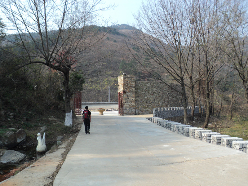 dsc06525_.jpg