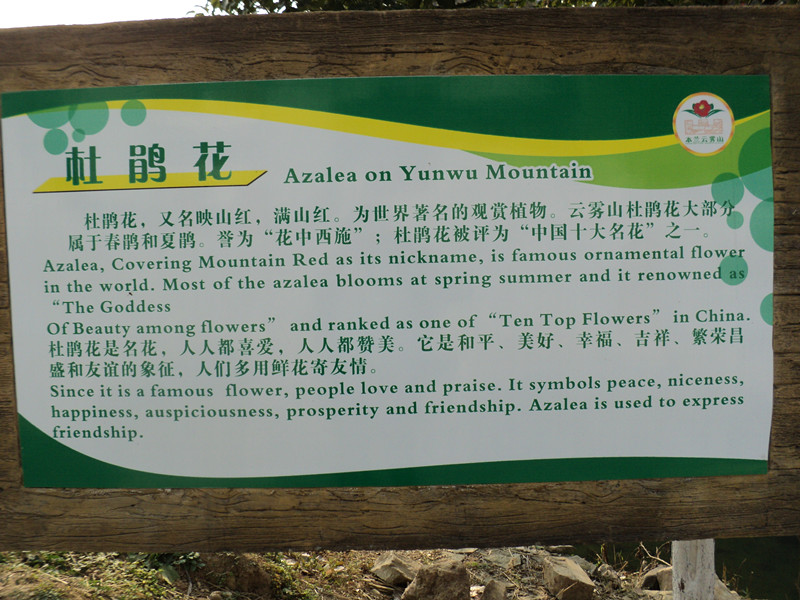 dsc06524_.jpg