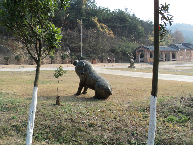dsc06528_.jpg