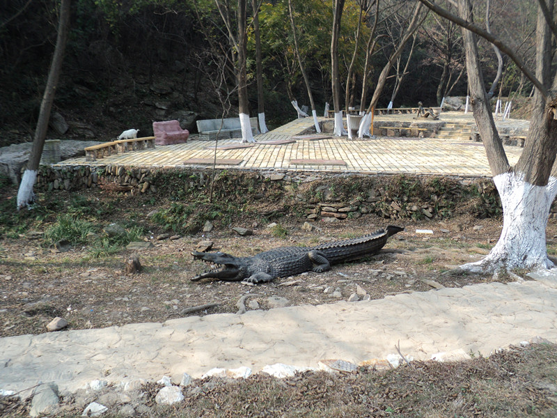 dsc06510_.jpg