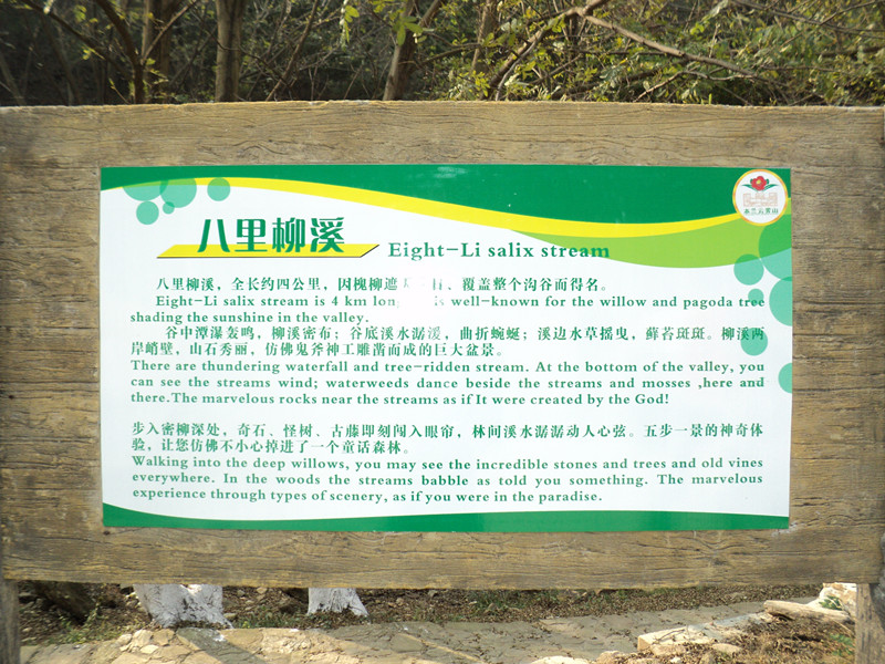 dsc06511_.jpg