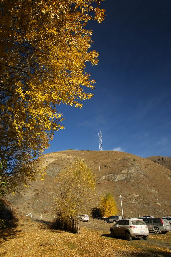 neo_img_dsc01679.jpg