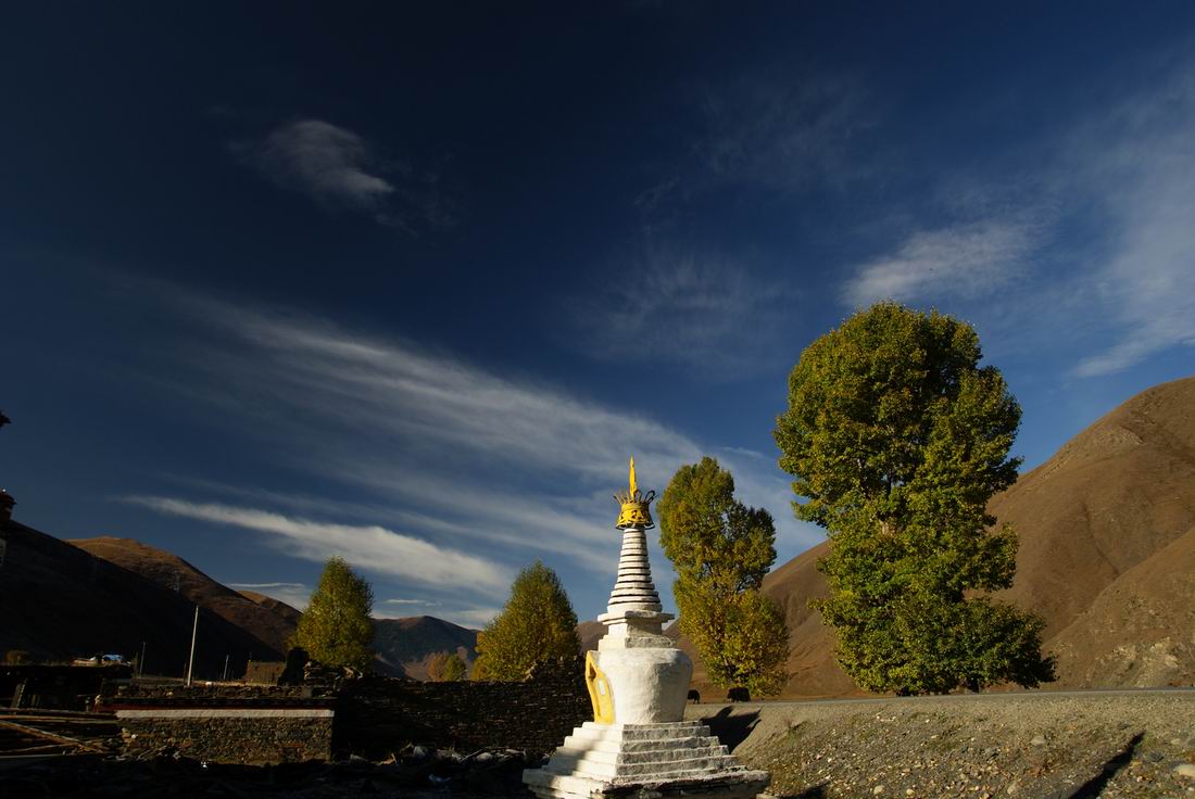 neo_img_dsc01699.jpg
