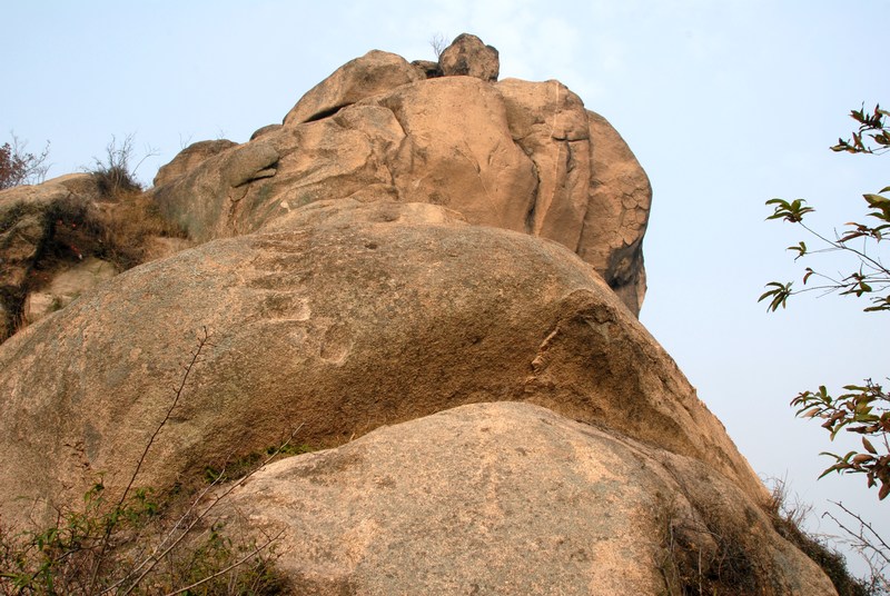 dsc_0121.jpg