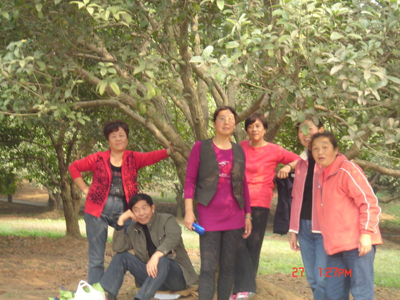 http_imgloadcaqy960n.jpg