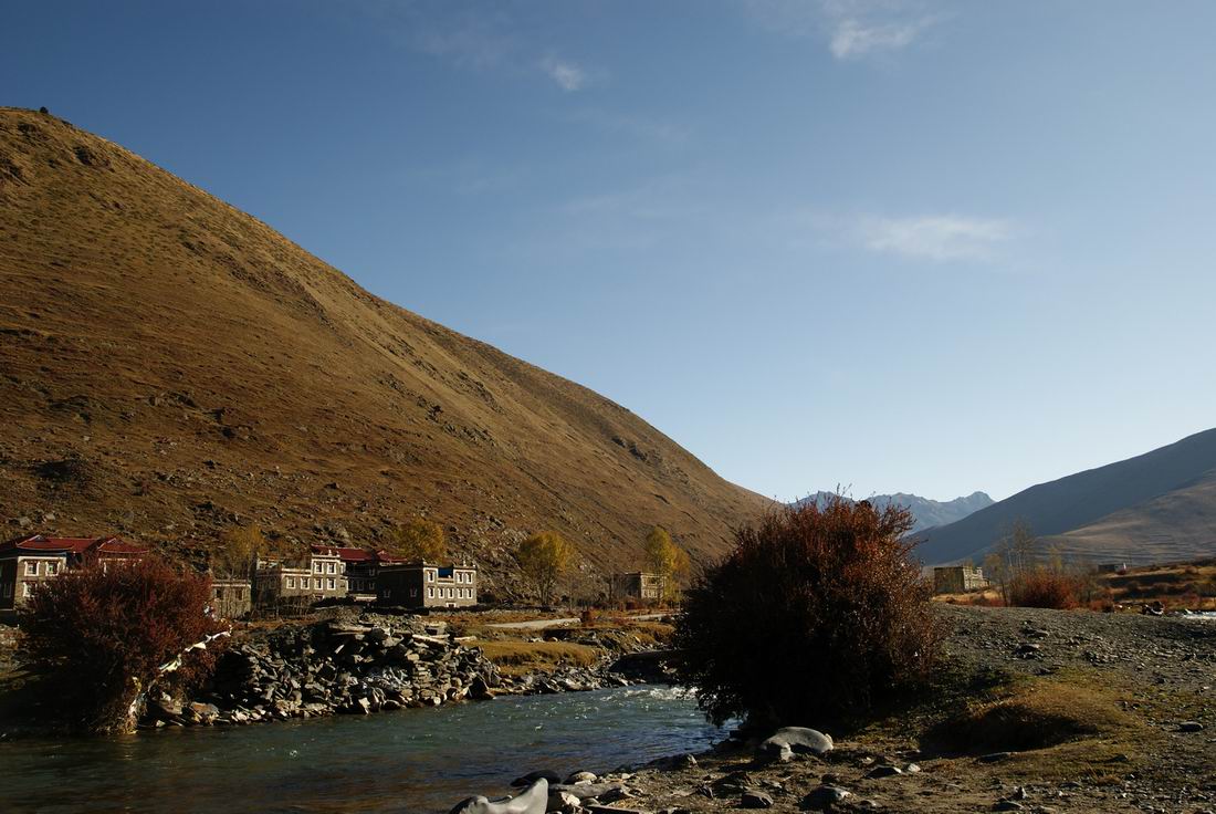neo_img_dsc01714.jpg