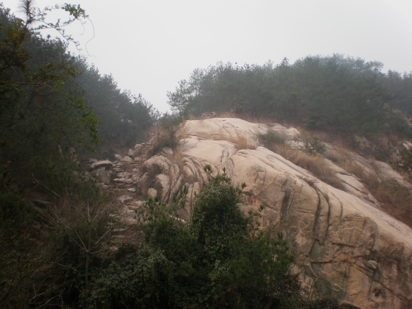20111127_10163820111127_101638_06.jpg