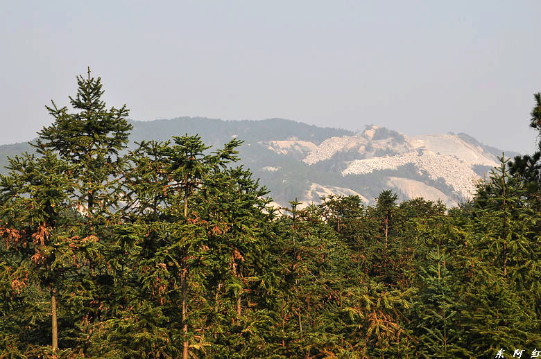 dsc_2734.jpg