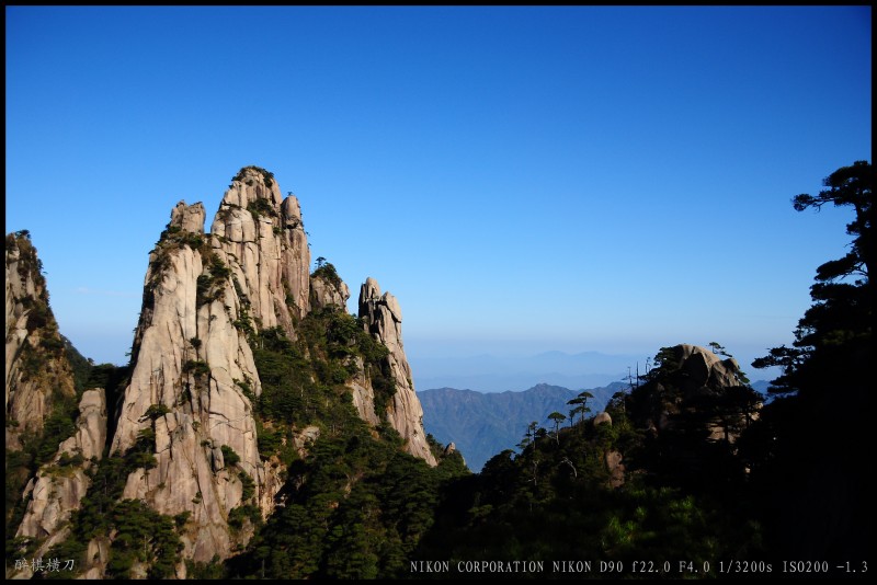 conew_dsc_0146.jpg