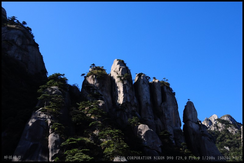 conew_dsc_0221.jpg