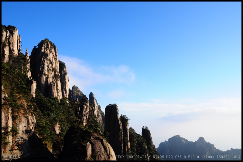 conew_dsc_0463.jpg