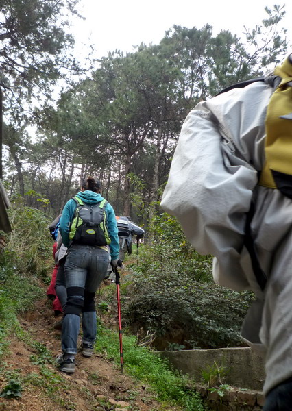 p1020168.jpg
