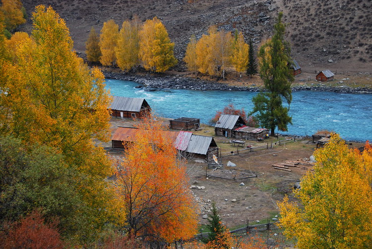 dsc_3503.jpg