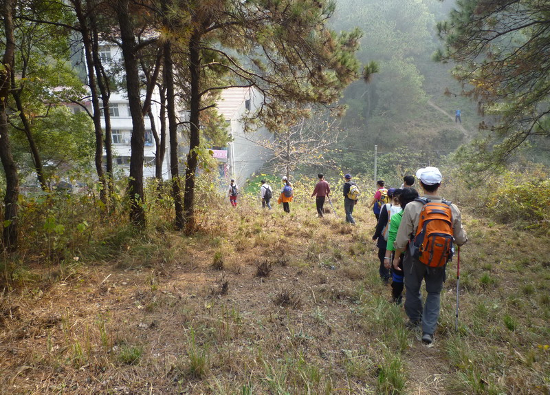 p1020180.jpg