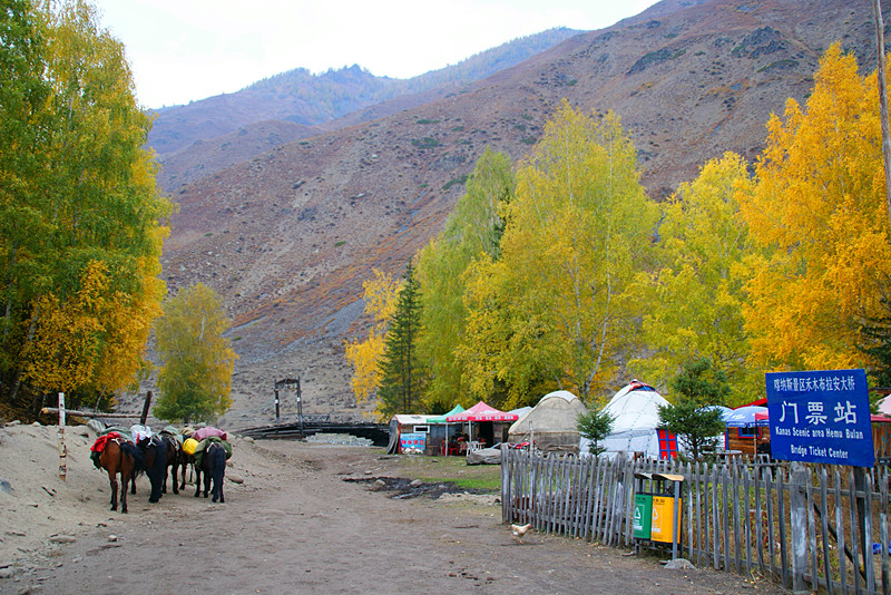 dsc06883.jpg
