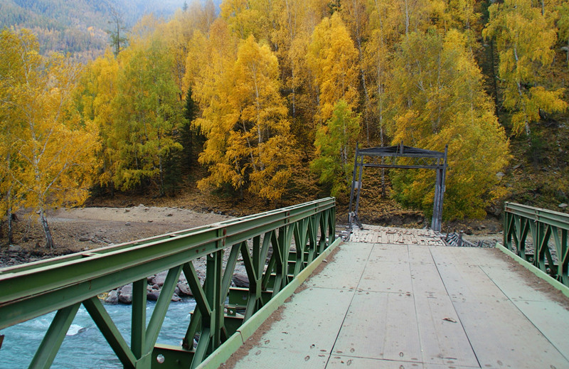 dsc06900.jpg