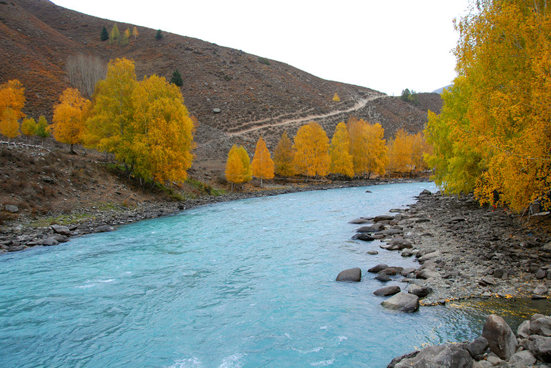 dsc_3548.jpg
