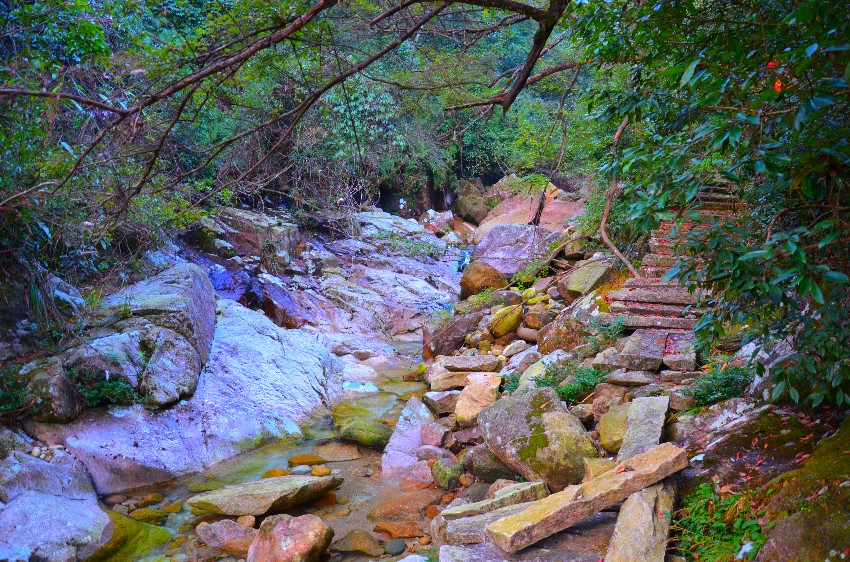 dsc_7851_.jpg