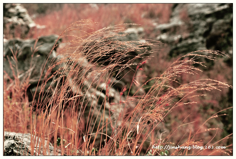 neo_img_dsc_3094.jpg
