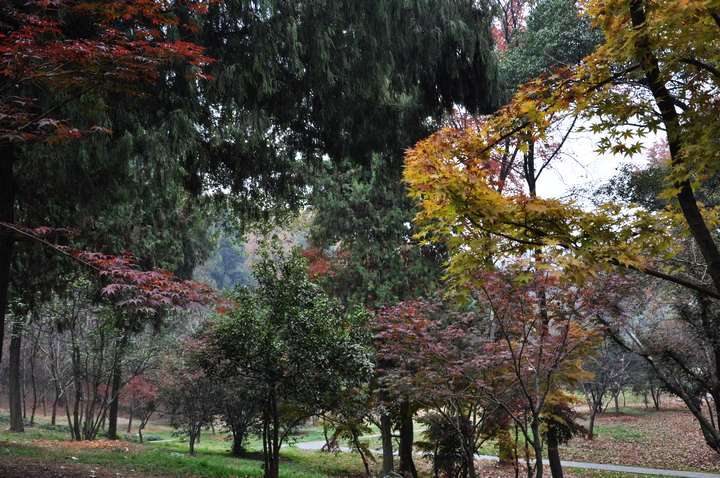 dsc_0311.jpg