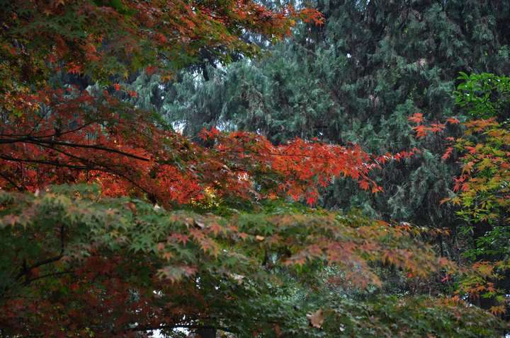 dsc_0329.jpg