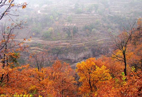 2011ʯҴϿ 531-12.jpg