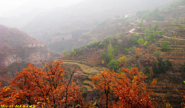 2011ʯҴϿ 537-1.jpg