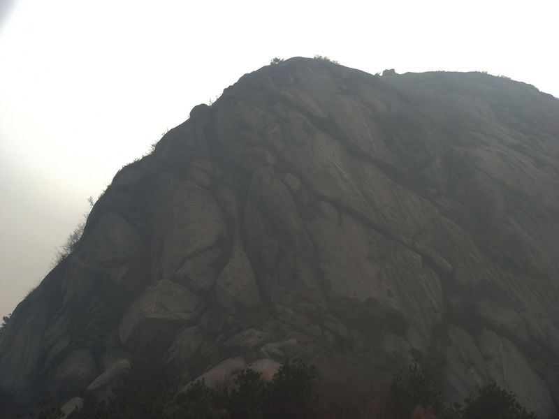 dsc012.jpg