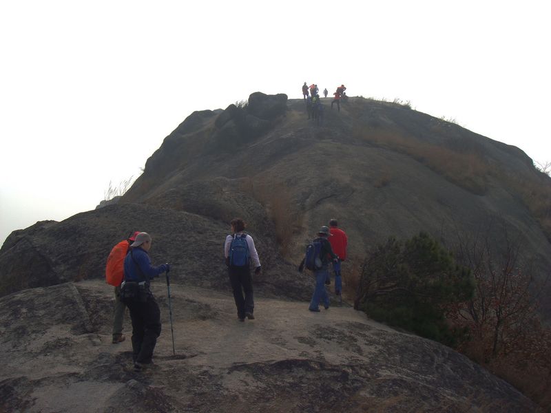 dsc015.jpg