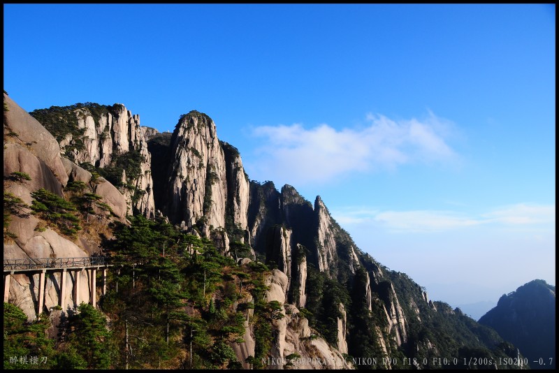 conew_dsc_0458.jpg