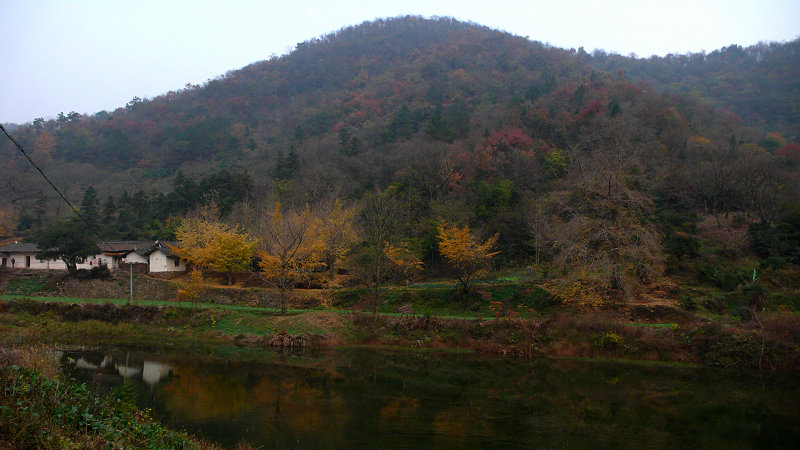 p1140200.jpg