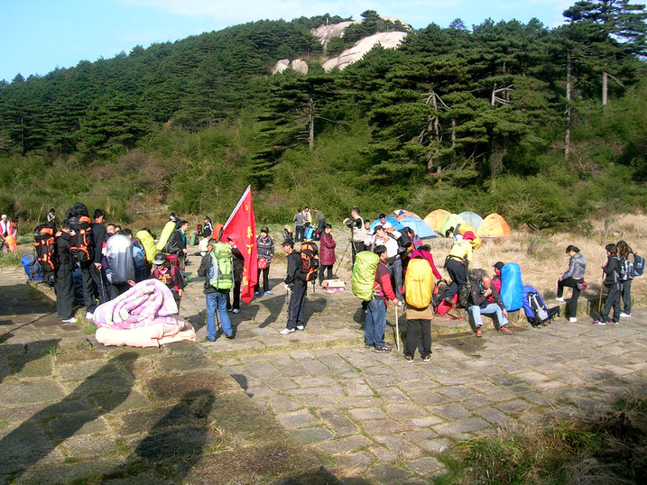 81.jpg