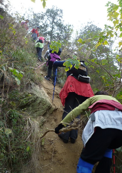 p1020183.jpg